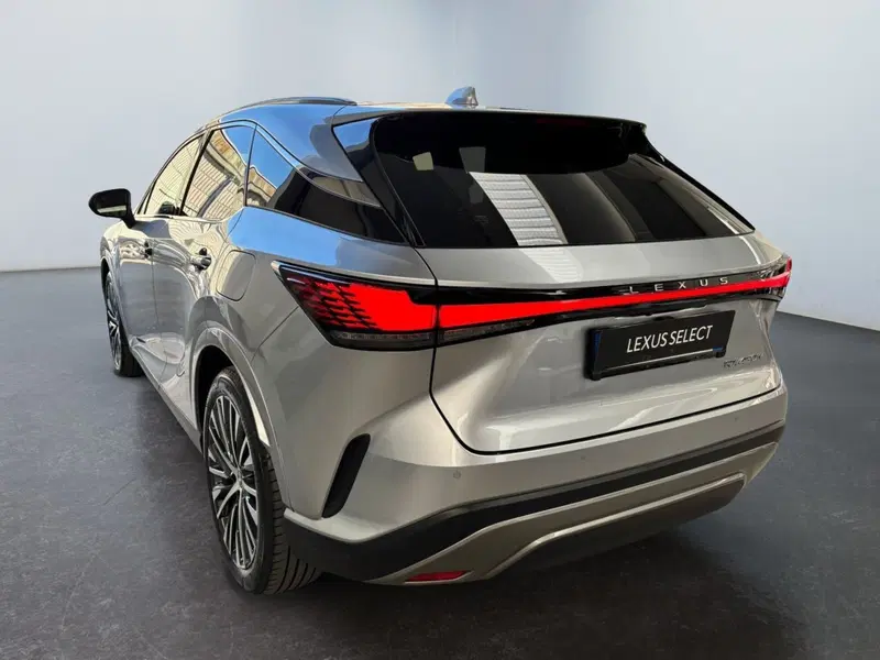 Lexus RX usata a Modena (6)