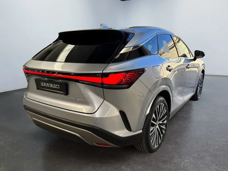 Lexus RX usata a Modena (7)
