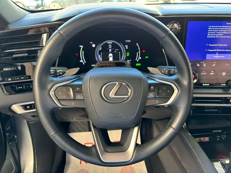 Lexus RX usata a Modena (9)