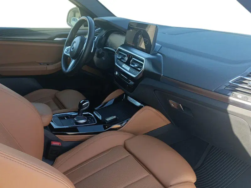 BMW X4 usata a Bari (9)