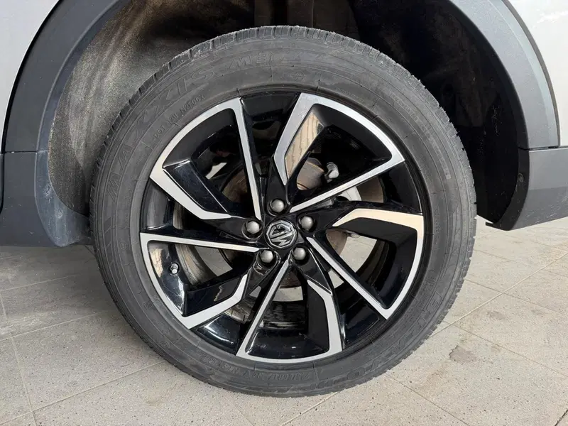 Mg ZS usata a Monza e Brianza (19)