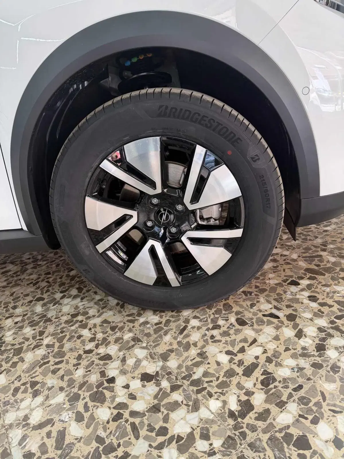 Opel Frontera nuova a Foggia (11)