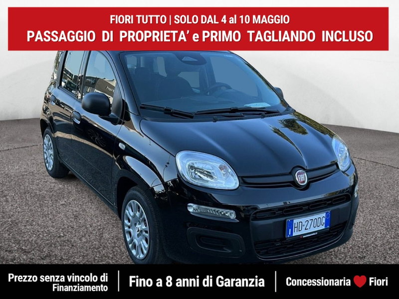 Fiat Pandina nuova a Latina (2)