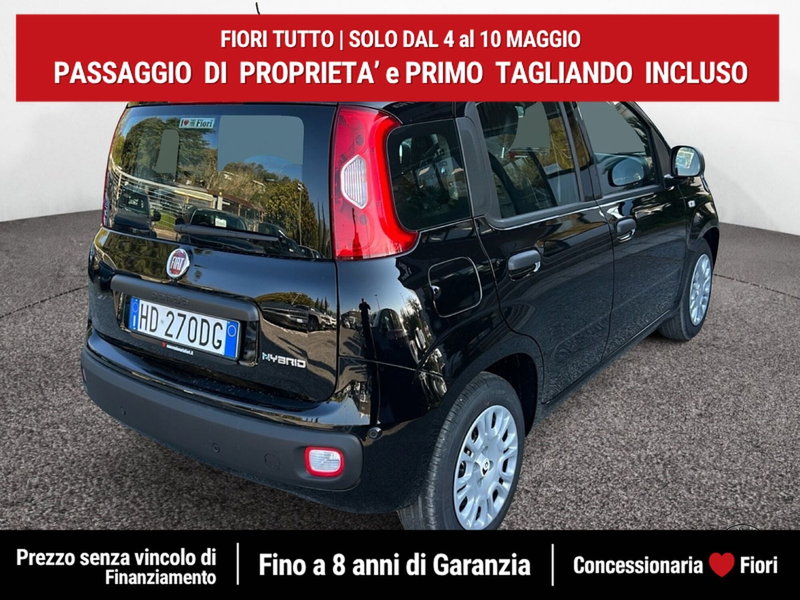 Fiat Pandina nuova a Latina (3)