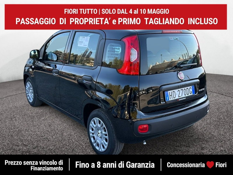 Fiat Pandina nuova a Latina (4)