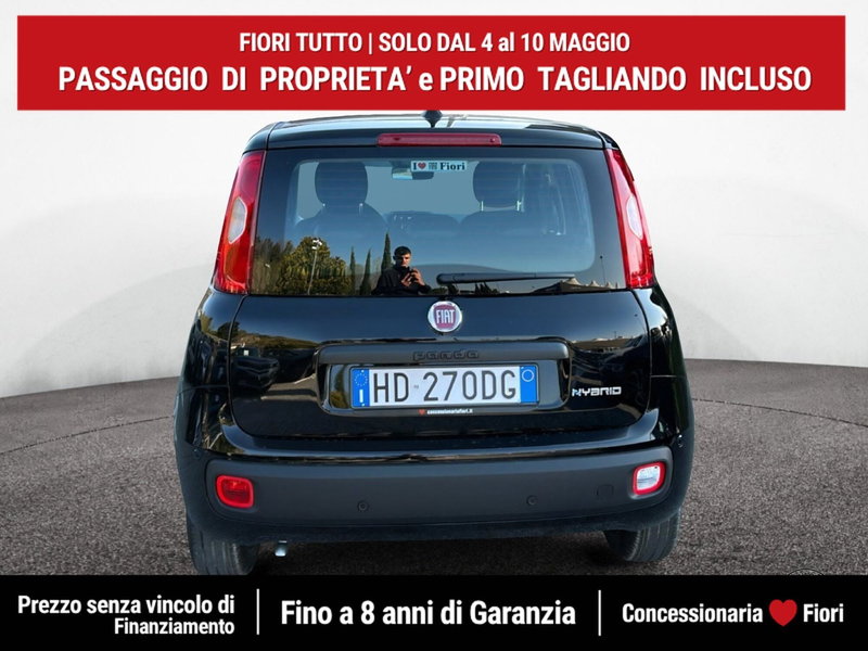 Fiat Pandina nuova a Latina (5)