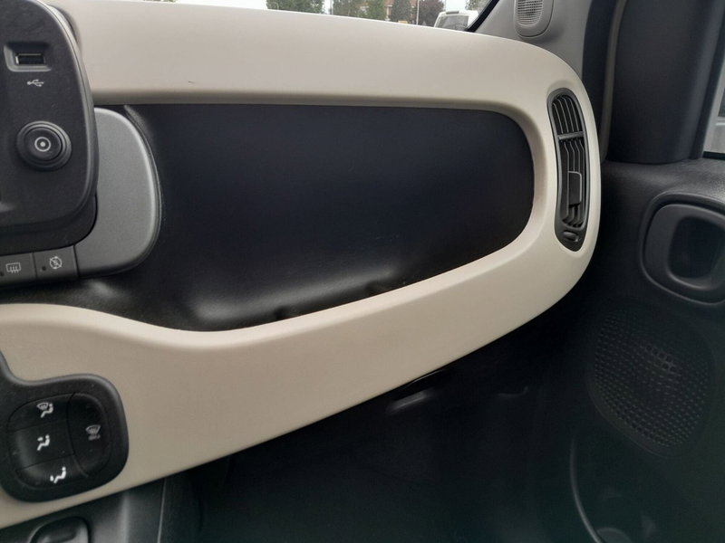 Fiat Panda Cross usata a Cuneo (14)
