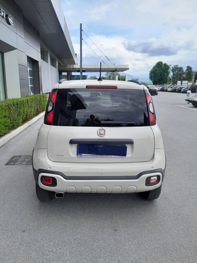 Fiat Panda Cross usata a Cuneo (6)