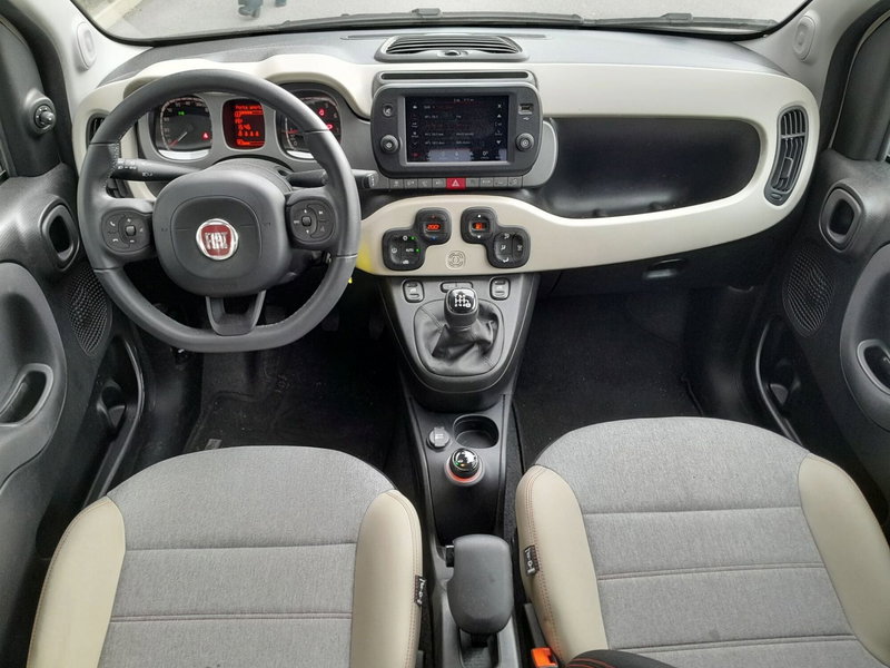 Fiat Panda Cross usata a Cuneo (8)