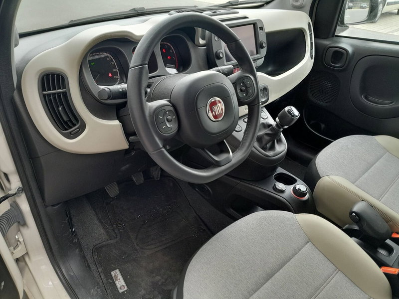 Fiat Panda Cross usata a Cuneo (9)
