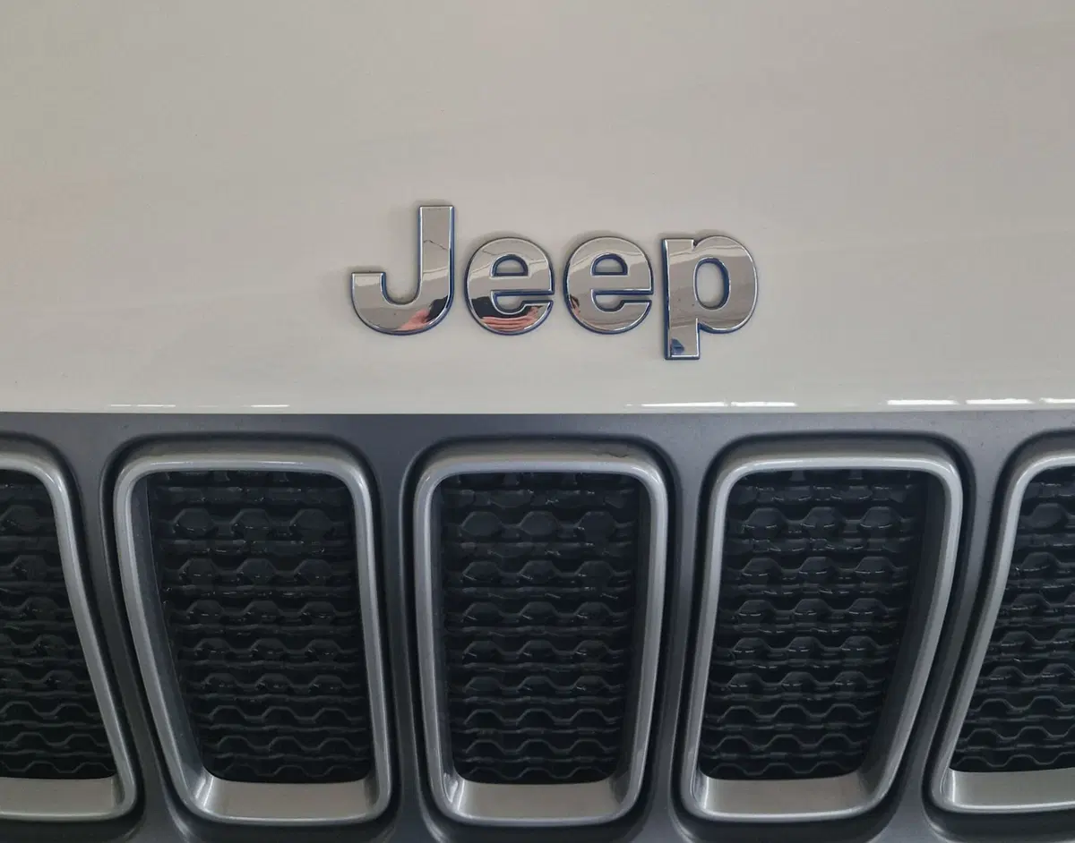 Jeep Renegade usata a Terni (20)