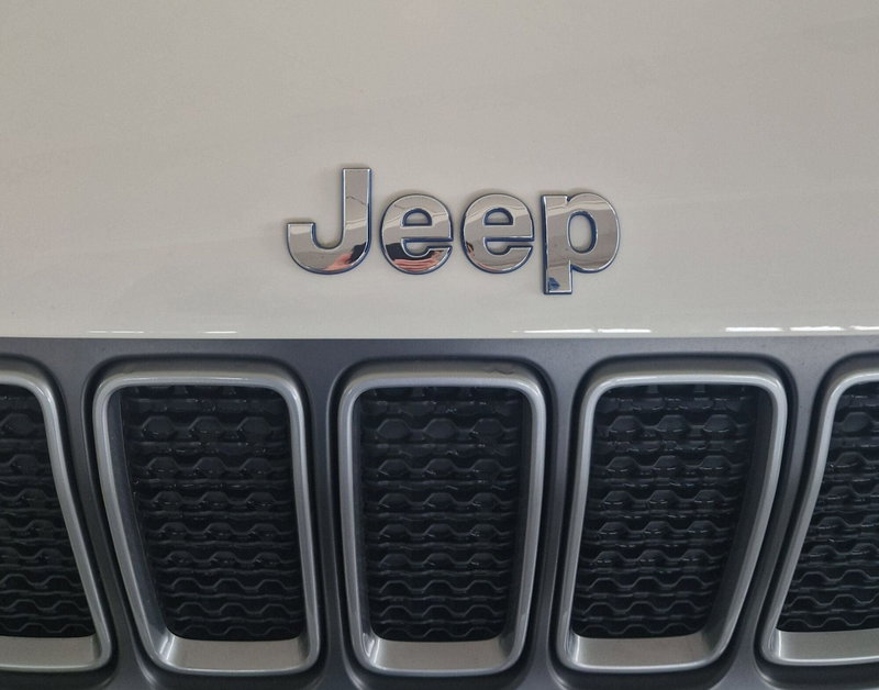 Jeep Renegade usata a Terni (20)