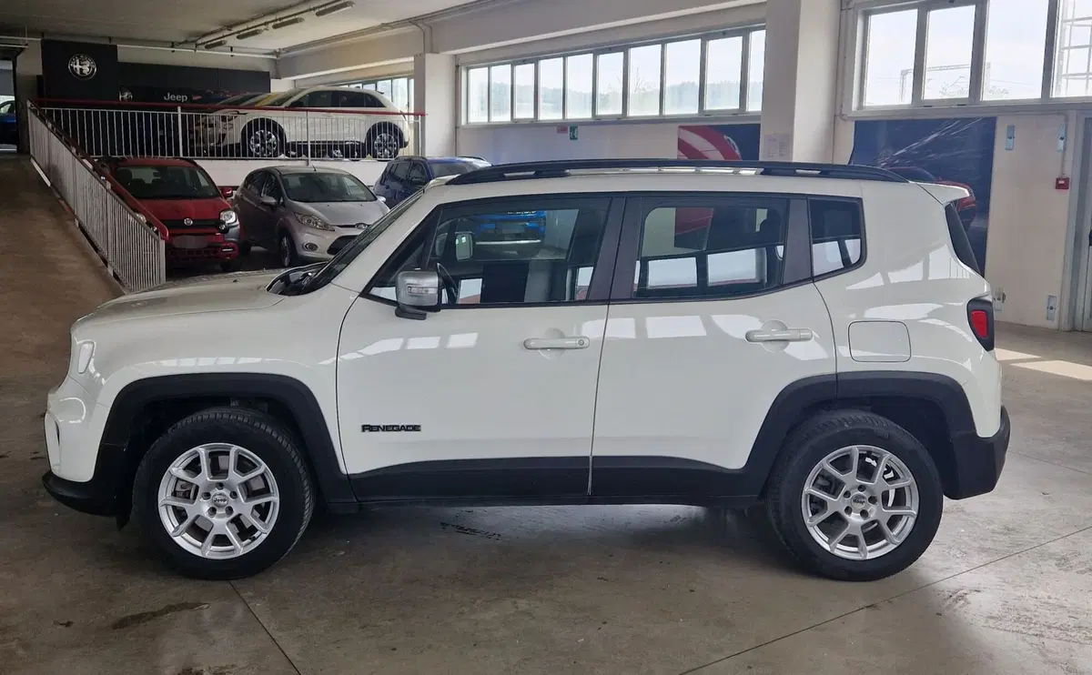 Jeep Renegade usata a Terni (3)