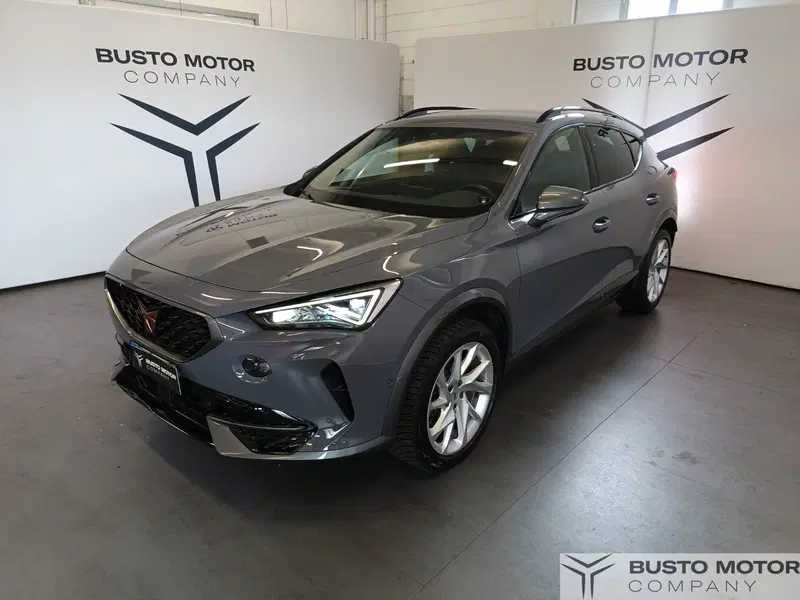 Cupra Formentor usata a Varese (3)