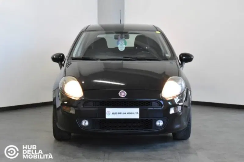 Fiat Punto usata a Perugia