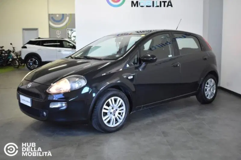 Fiat Punto usata a Perugia (3)