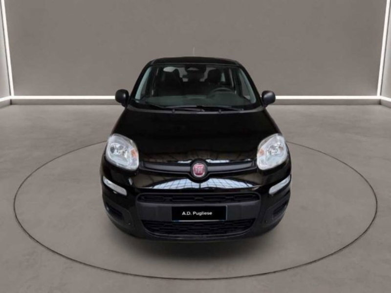 Fiat Panda nuova a Caltanissetta (2)