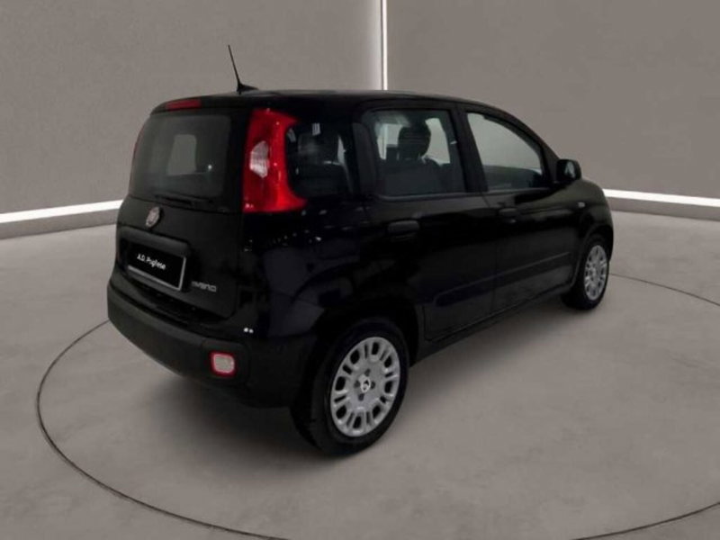 Fiat Panda nuova a Caltanissetta (7)