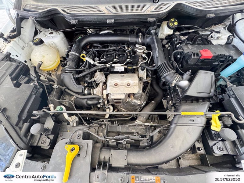 Ford EcoSport usata a Roma (12)