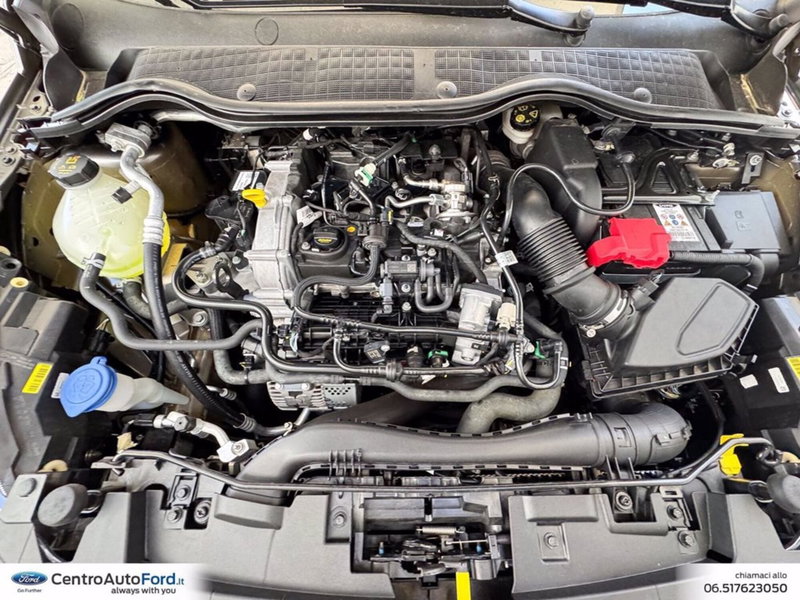 Ford Fiesta usata a Roma (12)