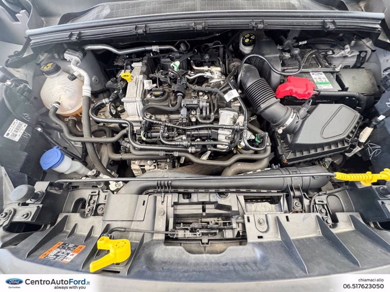 Ford Puma usata a Roma (11)