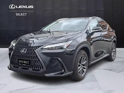 Lexus NX Plug-in 4WD Premium del 2023 usata a Torino