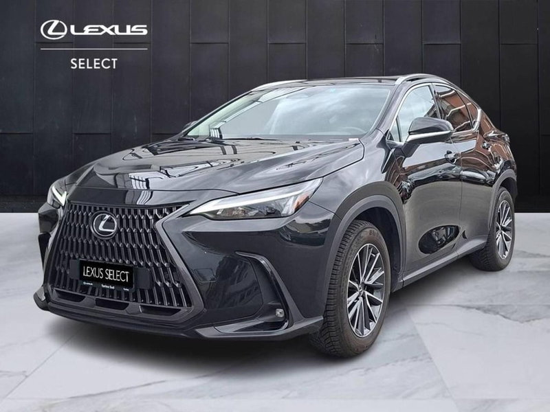 Lexus NX usata a Torino