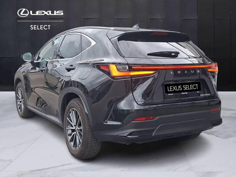 Lexus NX usata a Torino (3)