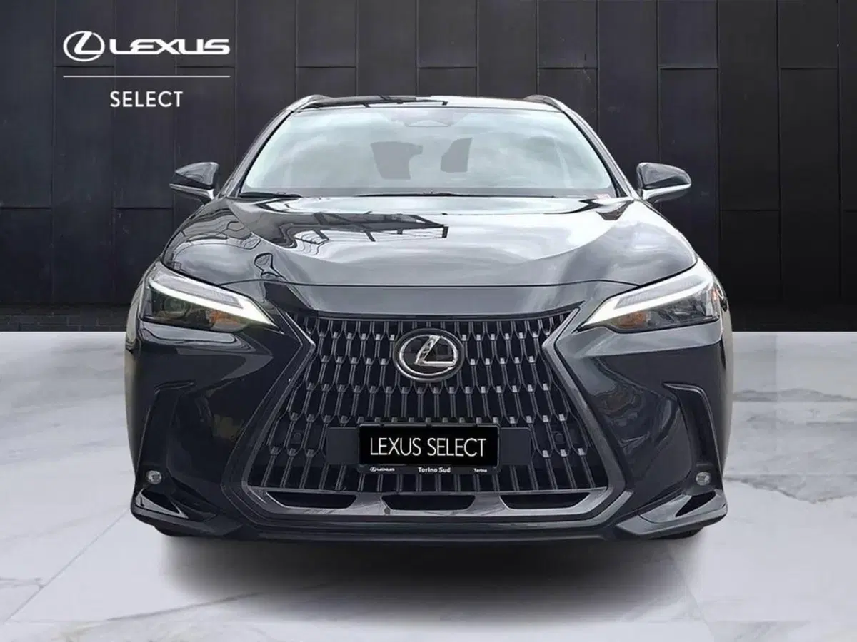 Lexus NX usata a Torino (4)