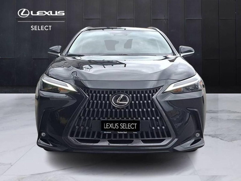 Lexus NX usata a Torino (4)