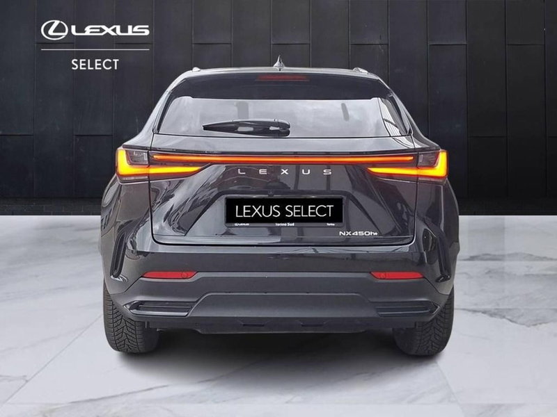 Lexus NX usata a Torino (5)