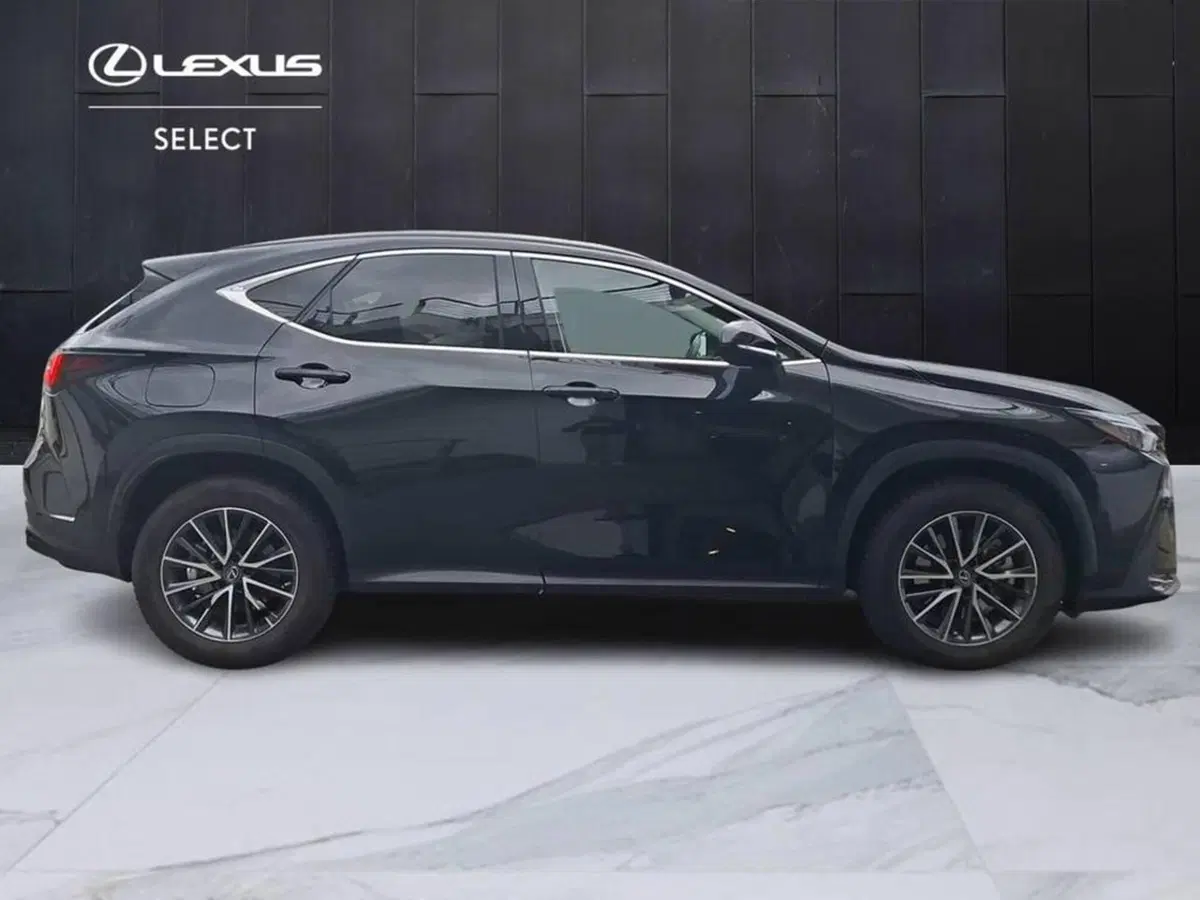 Lexus NX usata a Torino (6)