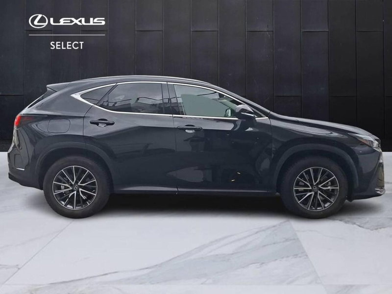 Lexus NX usata a Torino (6)
