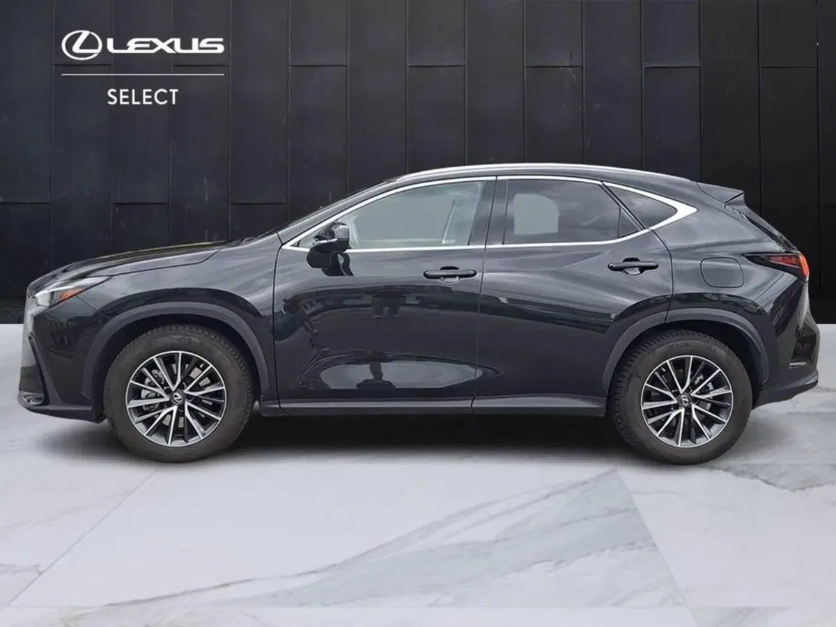 Lexus NX usata a Torino (7)