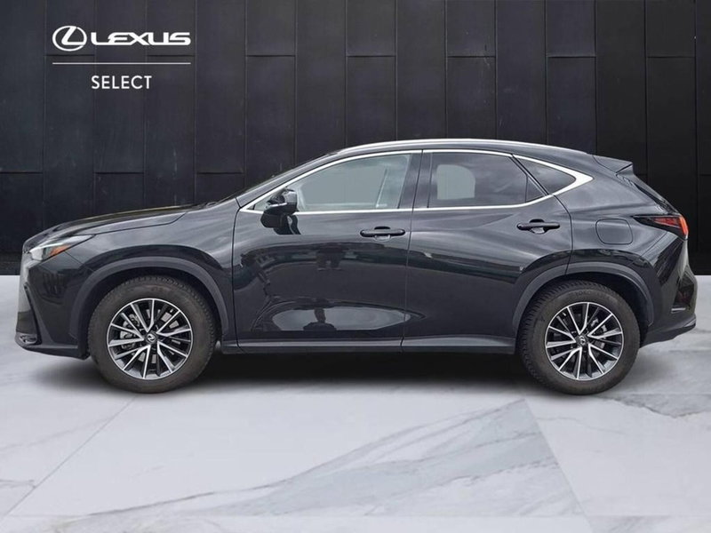 Lexus NX usata a Torino (7)