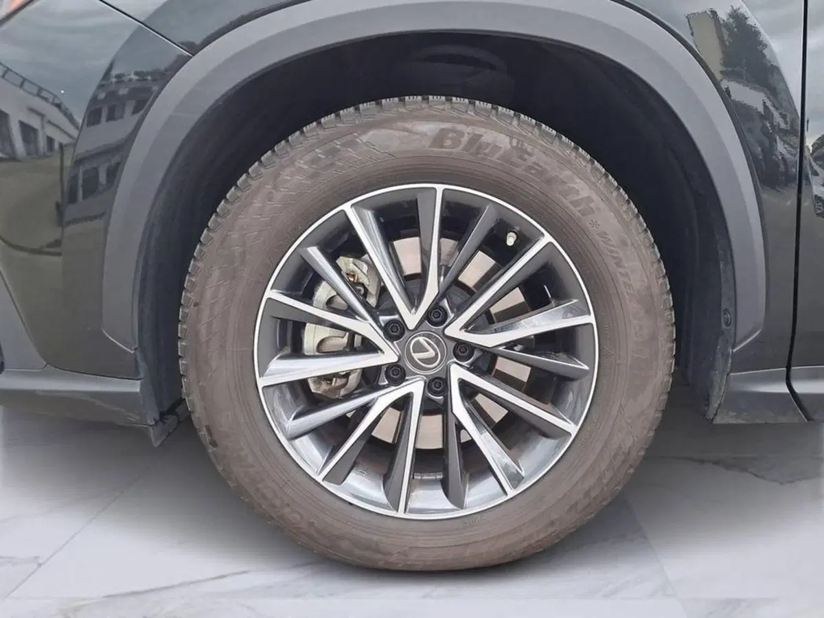 Lexus NX usata a Torino (8)