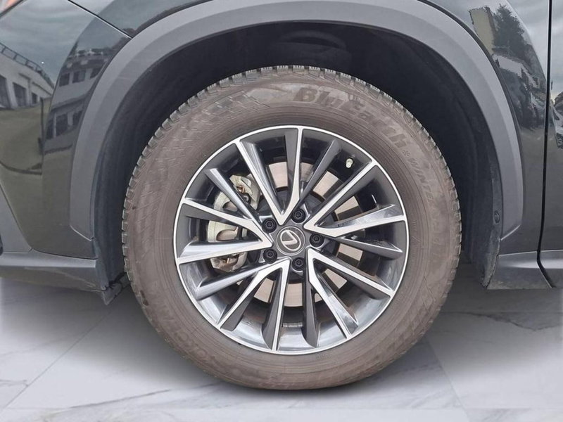 Lexus NX usata a Torino (8)