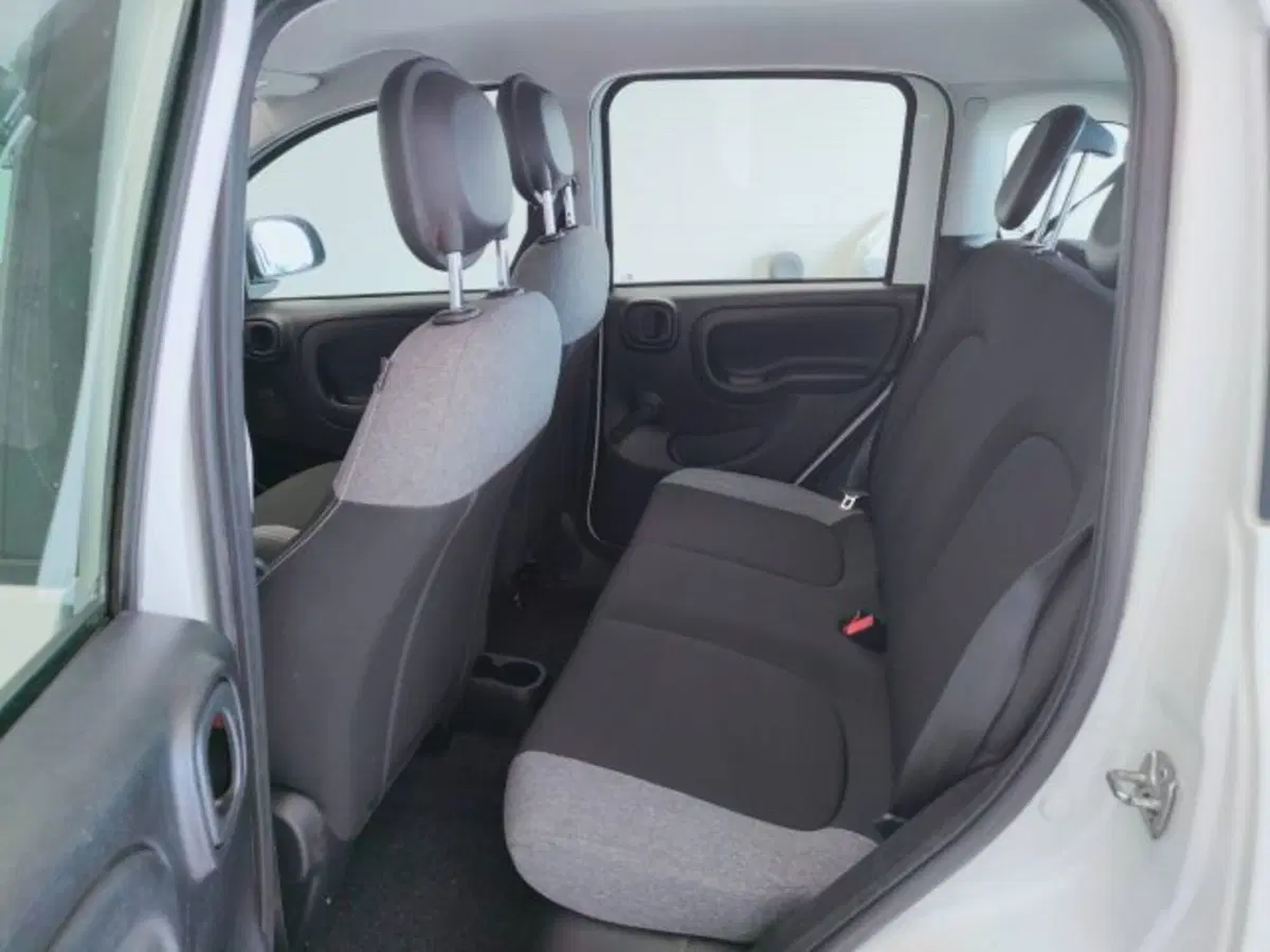 Fiat Panda usata a Teramo (10)