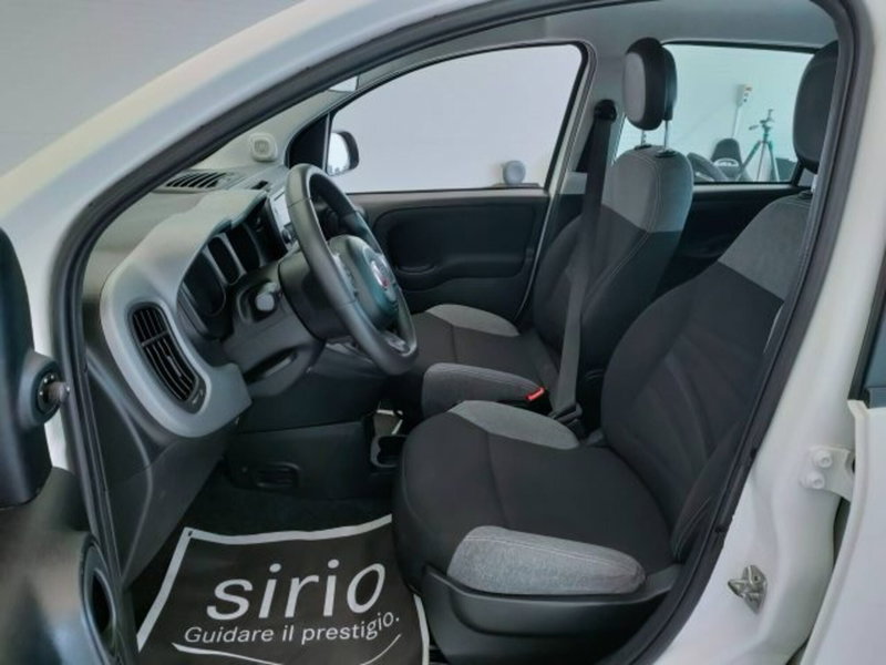 Fiat Panda usata a Teramo (15)