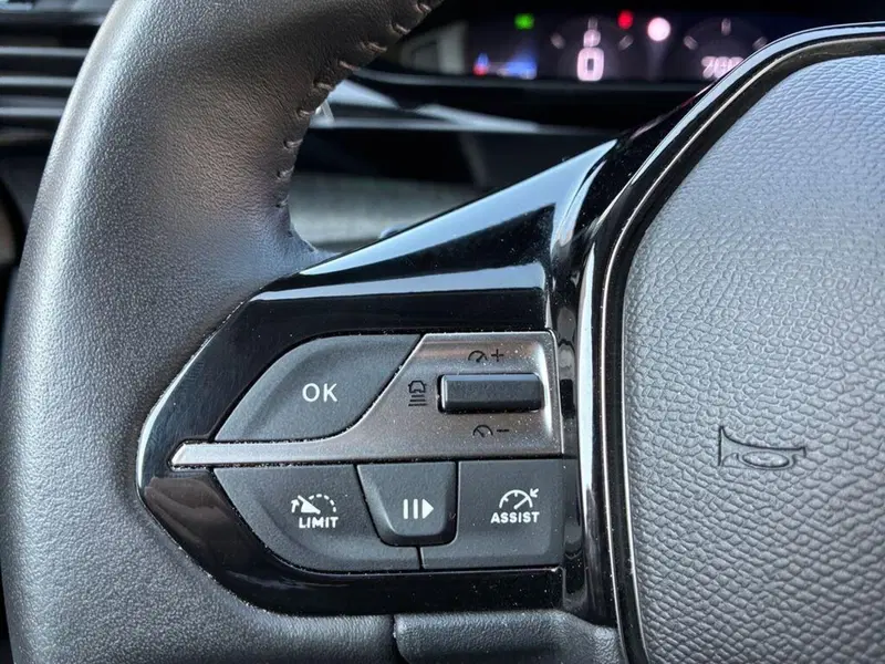 Peugeot 308 usata a Torino (13)