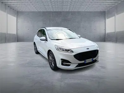 Ford Kuga 2.0 EcoBlue 120 CV aut. 2WD ST-Line X del 2024 usata a Bari