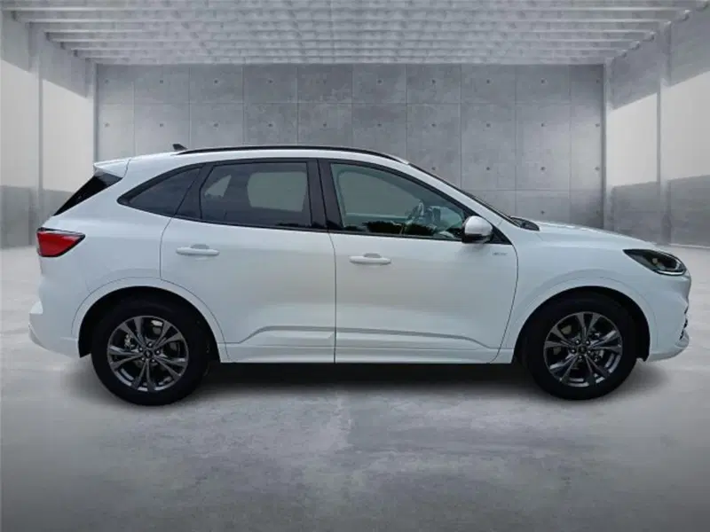 Ford Kuga usata a Bari (7)