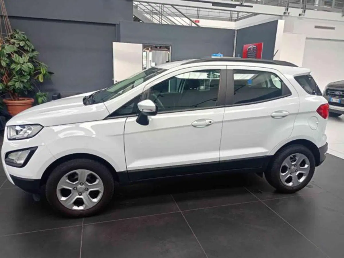 Ford EcoSport usata a Vercelli (4)