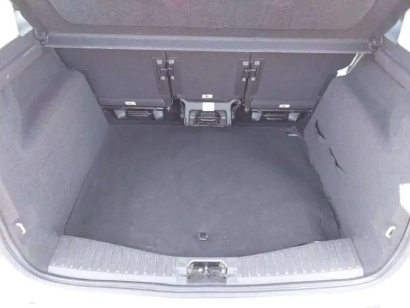 Ford C-Max usata a Firenze (9)