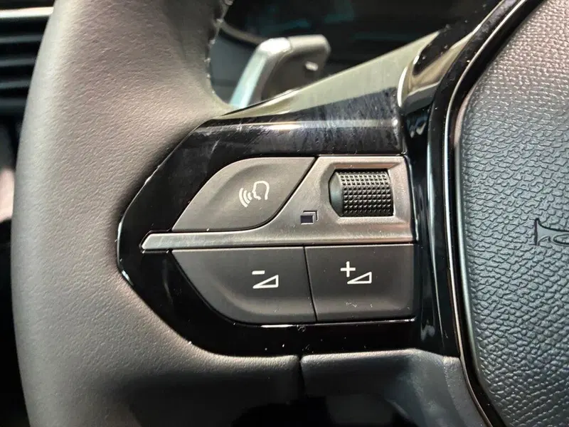 Peugeot 208 nuova a Torino (13)