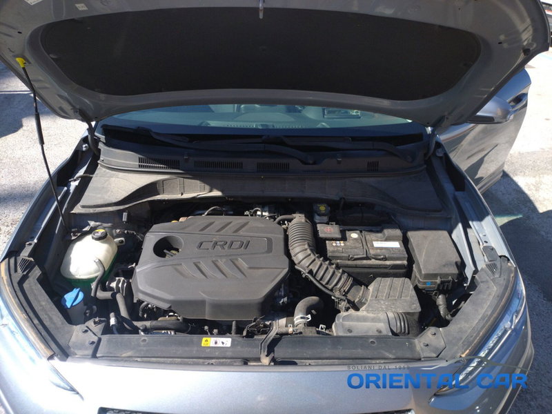 Hyundai Kona usata a La Spezia (15)