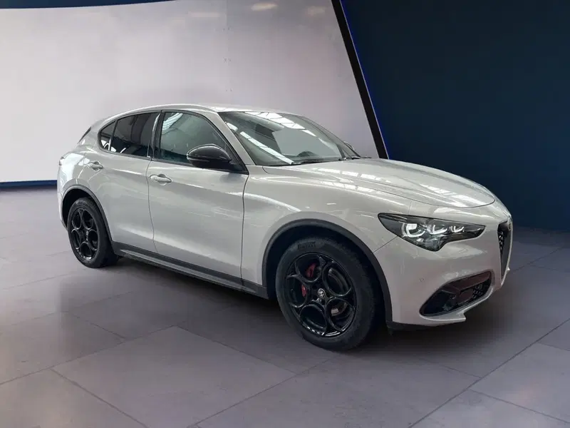 Alfa Romeo Stelvio usata a Torino (2)