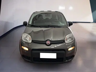 Fiat Panda 1.0 firefly hybrid s&amp;s 70cv 5p.ti del 2023 usata a Torino