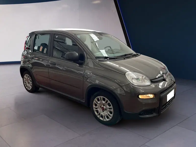 Fiat Panda usata a Torino (2)