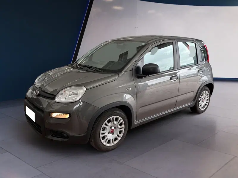 Fiat Panda usata a Torino (3)